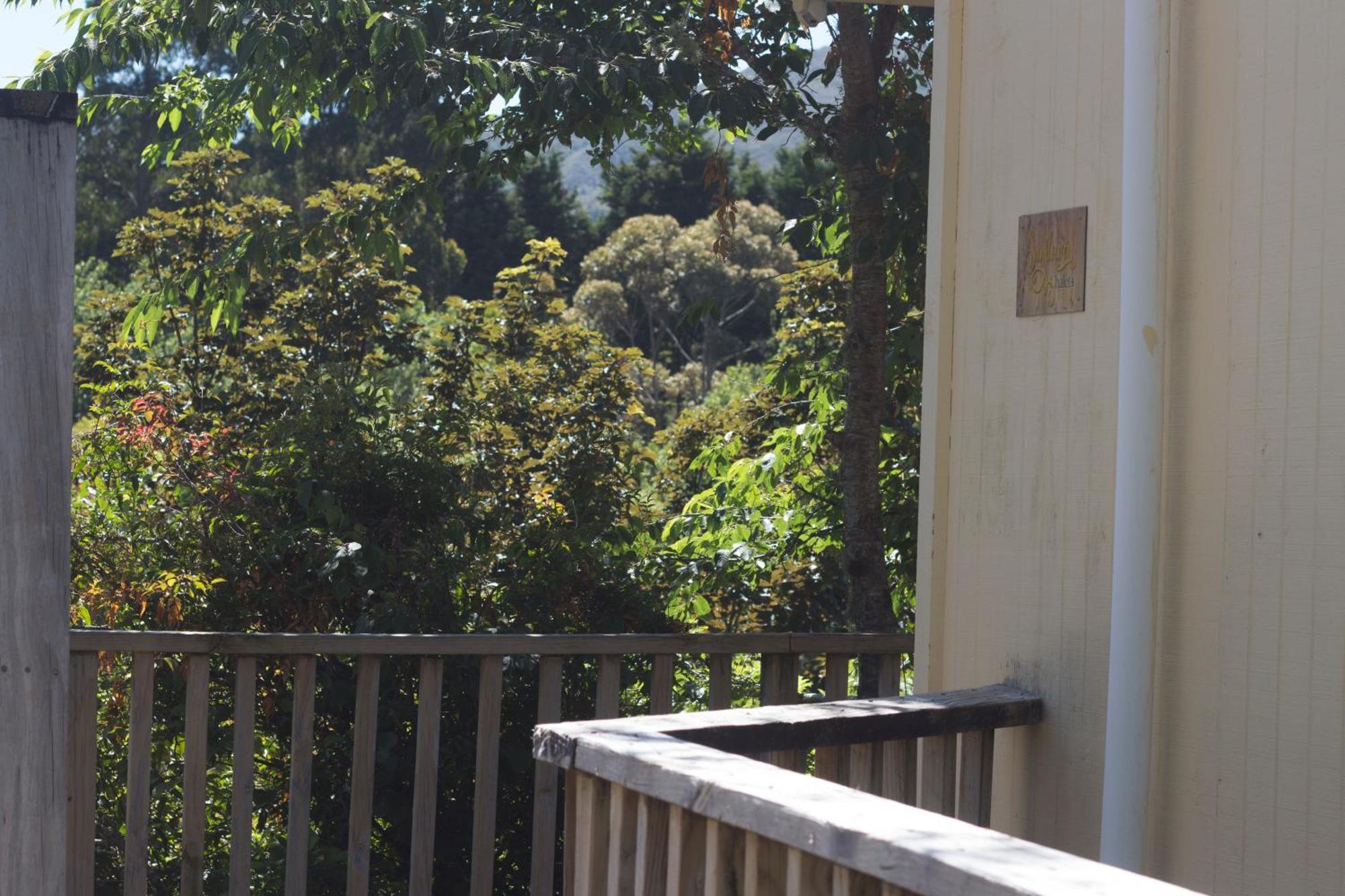 Aston Norwood Chalets Upper Hutt Bagian luar foto